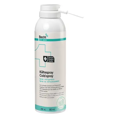 Spraydose 200 ml Minze