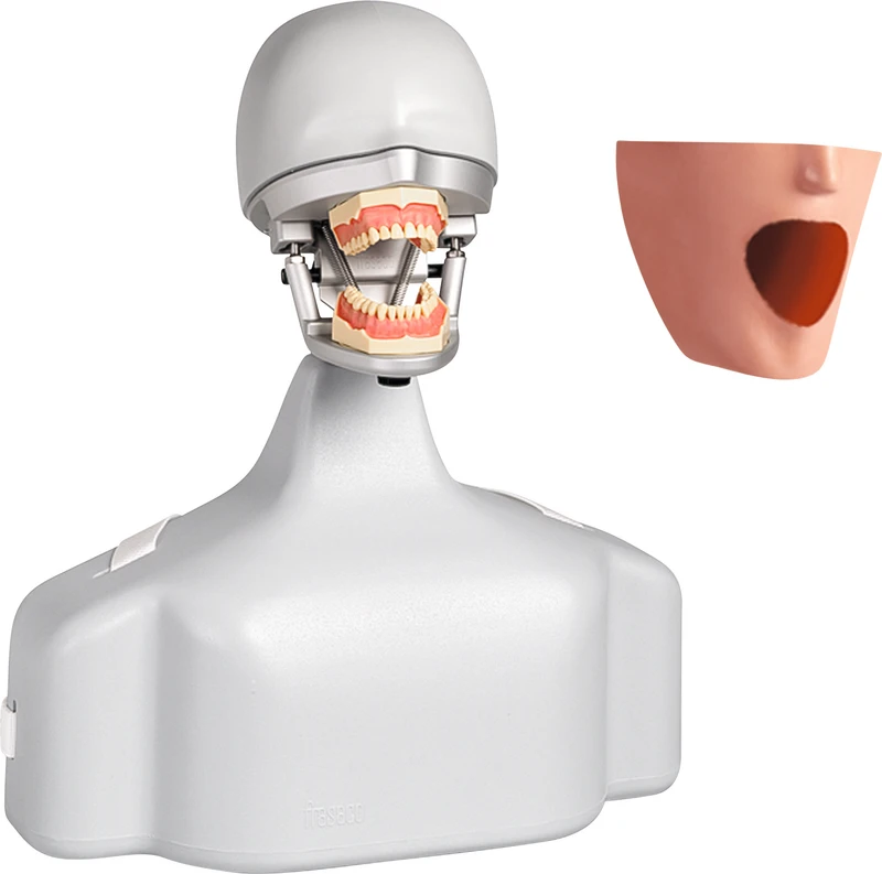 Stück Dental-Übungsgerät