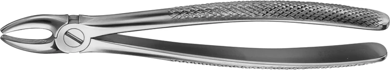 Stück DG005R, für obere Schneide und Eckzähne