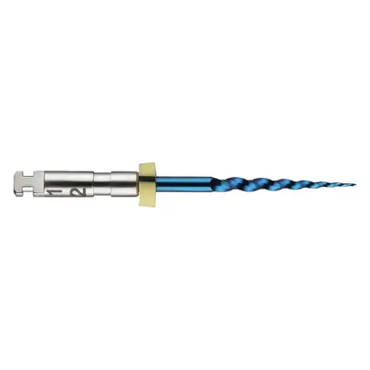 Packung 6 Stück 19 mm, Taper.12 ISO 017