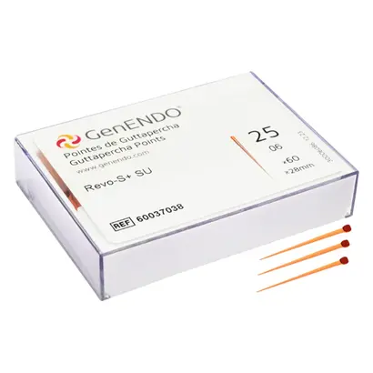 Packung 60 Stück Taper .06, ISO 025