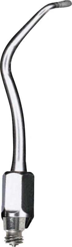 Stück Knospe klein links, Nr. 24A