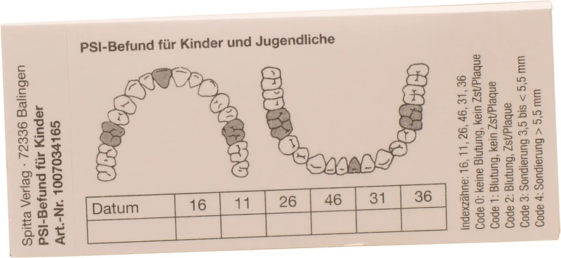 Stück 25 Blatt Stück 25 Blatt